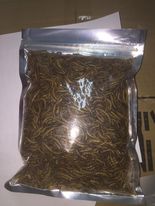 [Consign (Mora)] Dried MealWorms (100g) (Mora)