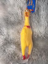 Screaming Chicken Dog Toy (M)
